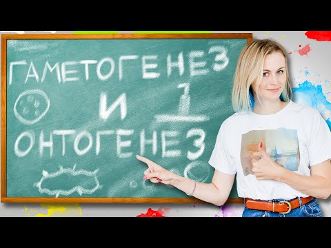 Гаметогенез! Онтогенез! | ЕГЭ по биологии | Летняя школа | 100балльный репетитор