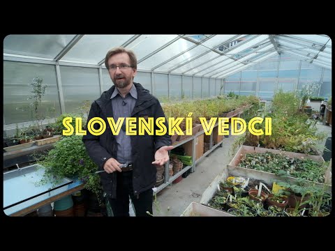 Video: Čo sú herbárové rastliny?