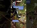 Terpeleset Di Lereng Semeru, Untung Masih Selamat! #akangabdoel #semeru