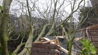 Hurricane doris came, destroyed our beautiful 50 year old, 30m high
beech tree and then fucked off. luckily the didn't fall towards house
which woul...