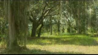 USACE Regulatory Jacksonville District