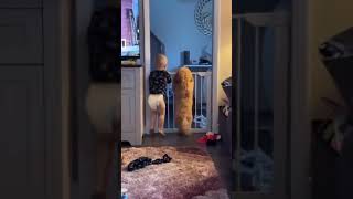 Daily Cute Baby, LoveBaby Baby Videos,by LoveBabyVids #babyvideo #cutebaby #babyshorts #p2174
