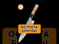 ЭТО Царь НОЖ на Кухне по Остроте Цене и Качеству Поварской кухонный шеф нож Heimcut Blue 2 ЭТО Царь НОЖ на Кухне по Остроте Цене и Качеству Поварской кухонный шеф нож Heimcut Blue 2