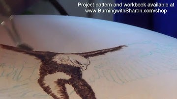 Pyrography: How to Woodburn an Eagle Part 1 – Torso, Black Feathers, and White Feathers