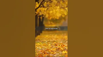 Изменение окраски листьев осенью