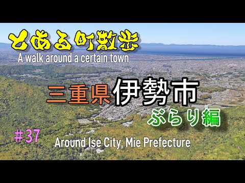 ぽぽ9.6 三重松阪市　伊勢志摩での手渡し希望です ぽぽ9.6 三重松阪市 伊勢志摩での手渡し希望です ぽぽ様