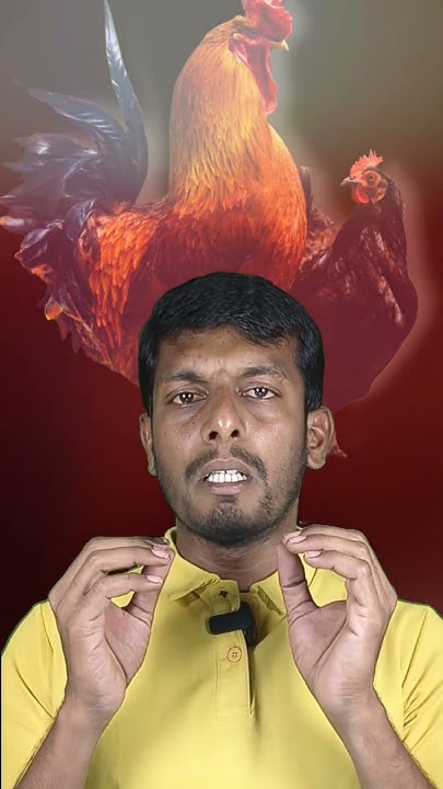 don-t-eat-broiler-chicken-risk-your-health-health-facts