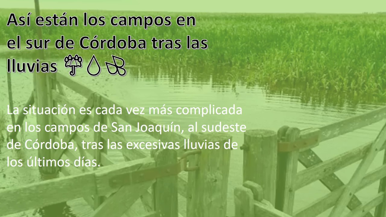 Así están los campos en el sur de Córdoba tras las #Lluvias