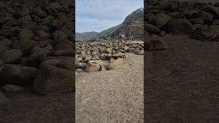 Monkey island palolem beach south goa #trending #goa #viral #monkeyisland #marinefish #vlog #nature