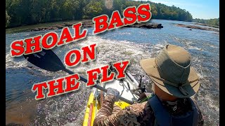 Fun Shoal Bass on the Fly Trip