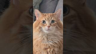 Walter And His Last Second Generosity