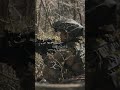 カメラに敵が映らない、リアル射程でのサバゲー #ファスガン #サバゲー #airsoft #shorts