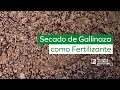 SECADO DE GALLINAZA DE AVES Y PROCESAMIENTO COMO FERTILIZANTE ORGÁNICO