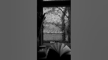 قرآن كريم سورة الفجر الاية (27) يأيتها النفس المطمئنة.