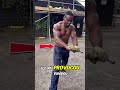 Ele apostou 100 dólares… e se arrependeu na hora 😳