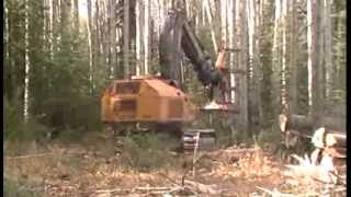 Tigercat 860C Feller Buncher cutting Poplar trees. Hudson Hope, BC. by Pat's Heavy Equipment & Truck Videos 32,574 views 10 years ago 4 minutes, 22 seconds