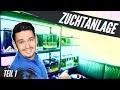 Alle Zwerggarnelen Aquarien - Unsere Zuchtanlage für Neocaridina und Caridina Garnelen | Teil 1