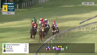 Vidéo de la course PMU PREMIO MENSAGEIRO ALADO