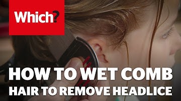 How to wet comb hair to remove headlice