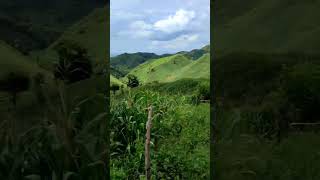 Perjalanan Pulang Menuju Kdanung Halaman