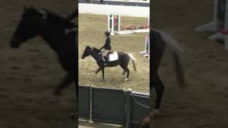 IEA zone 1 finals