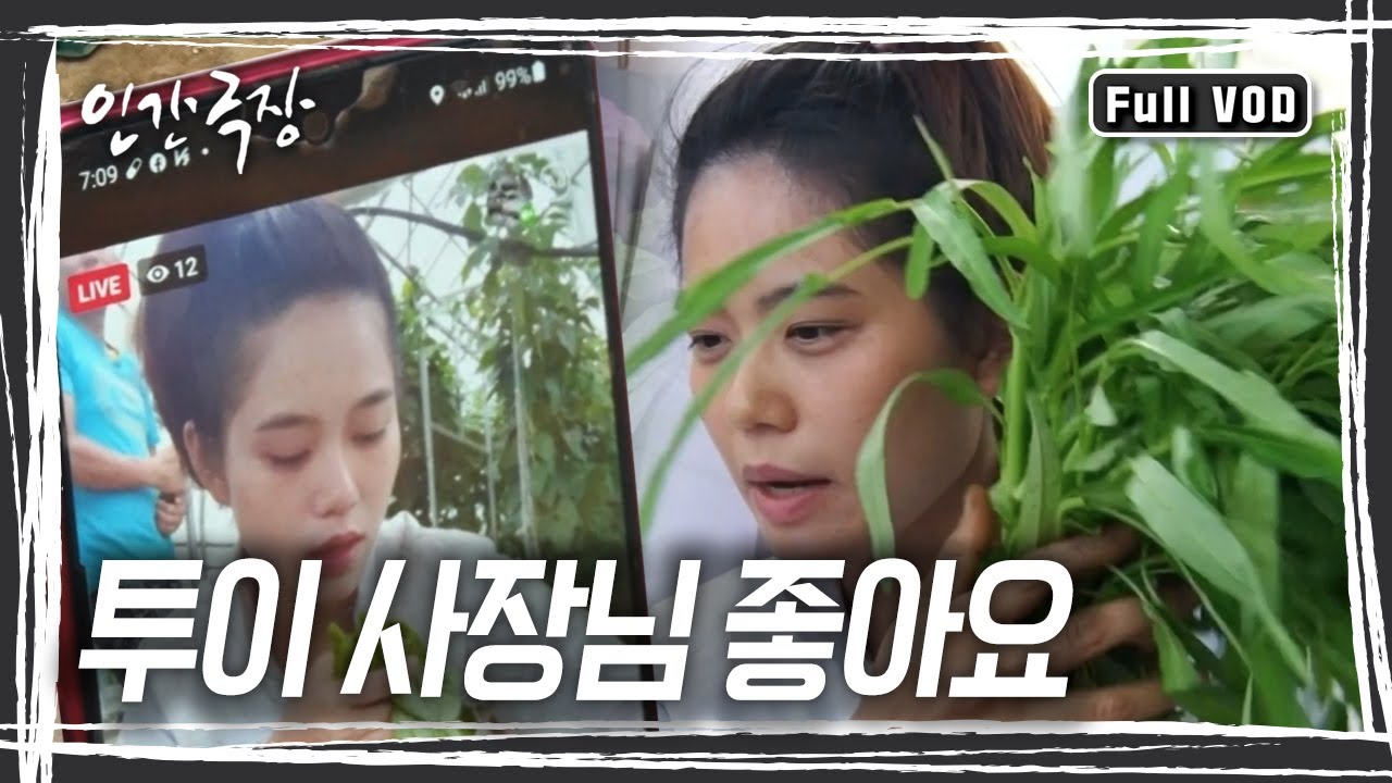 어렸을 땐 엄마와 고무농장에서, 고등학교 땐 복권을 팔았던 투이 씨, 지금은 고향 베트남의 채소를 정읍에 뿌리내린 투이 사장님이 됐다~ [인간극장] KBS 방송