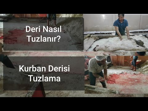 Deri Tuzlama | Deri Nasıl Tuzlanır | Dana Derisi Tuzlama | Kurban Bayramı