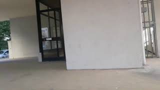 Mia Sorella Me Le Esce Su Whatsapp Mentre Canta E Balla E Fa La Bombi E La Pi Con Pewdiepie