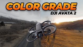 How to Color Grade DJI Avata 2 D-Log Footage