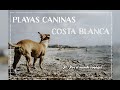 Las Playas caninas de la Costa Blanca en España: Una burla al turismo PETFRIENDLY [ES/FR]
