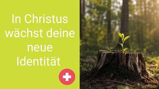 In Christus wächst deine neue Identität  // Thun, Thunersee, Schweiz 🇨🇭