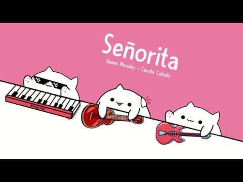 bongo-cat---señorita