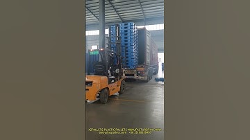 Container loading of plastic pallet.#plasticpallet  #factory  #production  #container  #loading