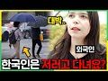 한국사람들은 어떻게 비오는 날 우산을 꼭 써요?  프랑스 사람이 충격받은 이유