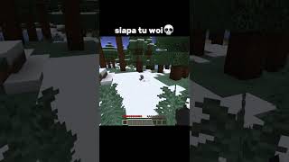 Orang Misterius Minecraft