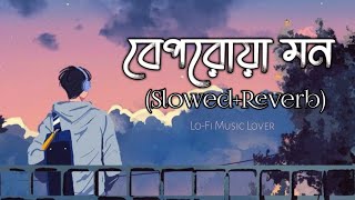 Beporowa Mon ( বেপরোয়া মন ) _ Habib Wahid _ [Slowed Reverb] Lo-Fi Music Lover