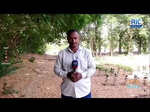 صباحك ياعدن | التعليم الجامعي للفتاة في محافظة الضالع بين الأمس واليوم تقرير