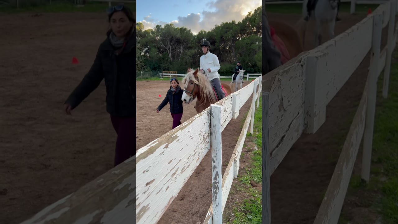 Meine erste Reitstunde ❤️ 