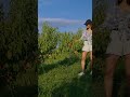 From Farm to Kiosk: Fruit Blend Journey