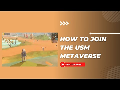 How To Log into The RadioCaCa 3D USM Metaverse