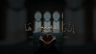 Haitham aldokhin emotional recitation 🌹 #quranrecitation