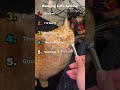 Ranking cats talkkng Videos #cat #funny #shorts