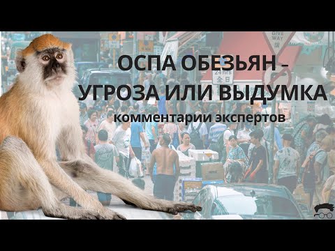 Оспа обезьян - угроза или выдумка? Комментарии экспертов