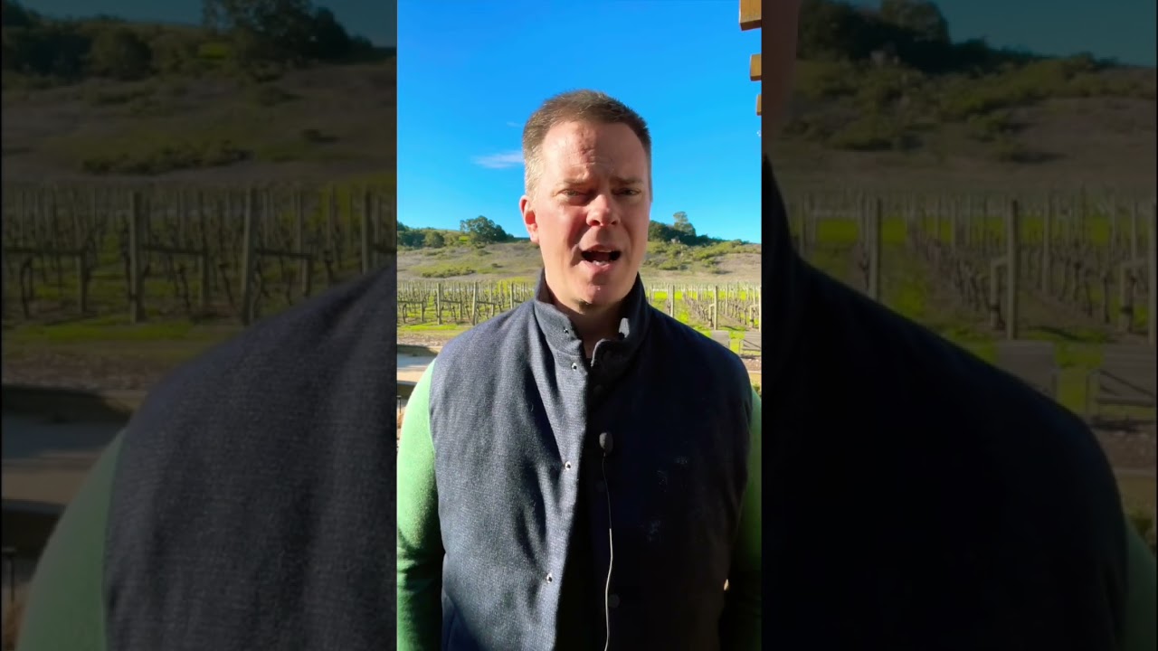 Napa Valley’s CARNEROS AVA Wine Region: Why Cabernet is NOT King! 🍷