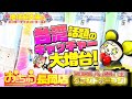 【獲れすぎ注意】台湾キャッチャー大増台!おたちゅう長岡店が4/25(土)誕生!