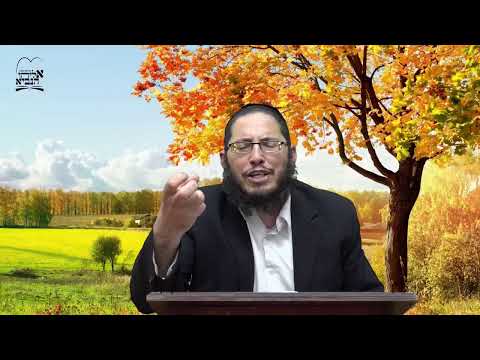 שידור חי של קו ההלכה הספרדי