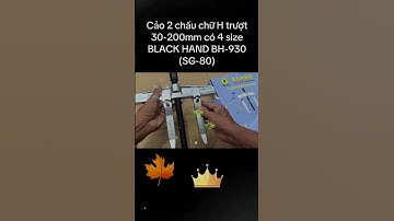 handtoolspro.com.vn Cảo 2 chấu chữ H trượt 30-200mm có 4 size BLACK HAND BH-931 (SG-160) #automobile