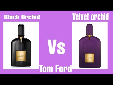 Tom Ford Black Orchid VS Velvet Orchid