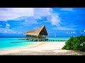 Relaxing Beautiful Music - Peaceful Instrumental Music, Ambient Study Music to Concentrate