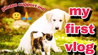 my first vlog❤️#doglover #animalsvideo #viralvideo